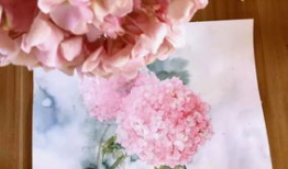 花花视频,带你领略短视频的魅力与风采